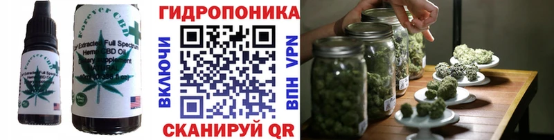Еда ТГК конопля  Сураж 