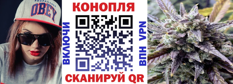 МАРИХУАНА семена  Сураж 